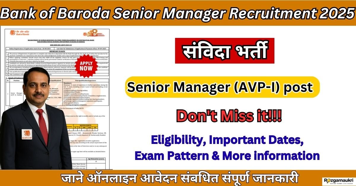 Bank of Baroda Senior Manager Recruitment 2025 -Apply Online