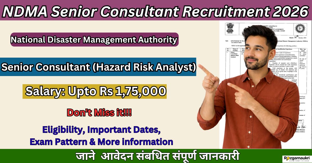 NDMA Senior Consultant Recruitment 2026